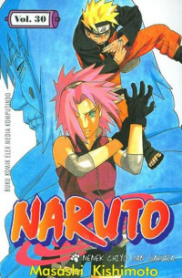 Naruto Vol. 30