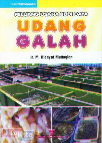 PELUANG USAHA BUDI DAYA UDANG GALAH