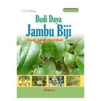 Budidaya Jambu Biji Buah Multimanfaat