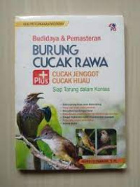 Budidaya & Pemasteran BURUNG CUCAK RAWA CUCAK JENGGOT CUCAK HIJAU Siap Tarung dalam Kontes