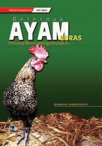 Beternak AYAM BURAS Peluang BIsnis Mengguntungkan