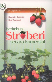 berkebun Stroberi secara komersial