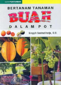 BERTANAM TANAMAN BUAH DALAM POT