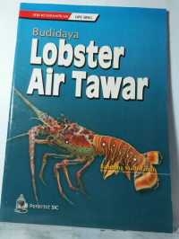 BUDIDAYA LOBSTER AIR TAWAR