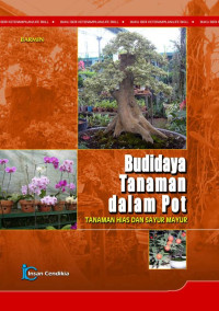 Budidaya Tanaman dalam POT