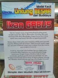 Modal Kecil Untung Besar dari Budidaya Ikan Gabus