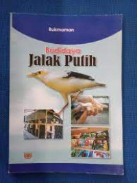 Budidaya Jalak Putih rukmaman