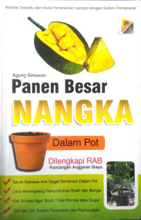 Panen Besar NANGKA Dalam POT